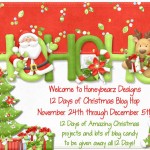 {12 Days of Christmas Blog Hop Day 11 and Square 1 Designs}